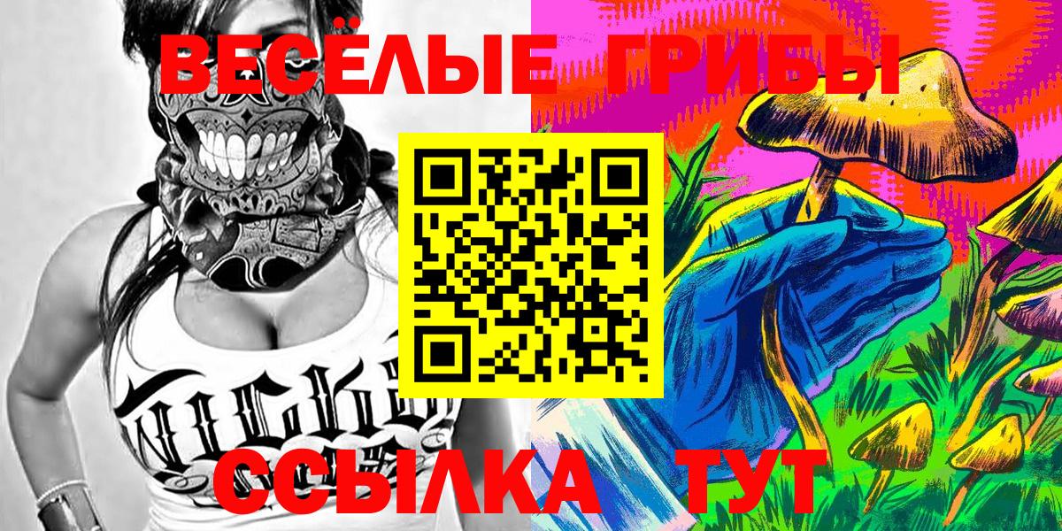 Галлюциногенные грибы ЛСД  Вход с VPN  Галлюциногенные грибы мухоморы  Гатчина 