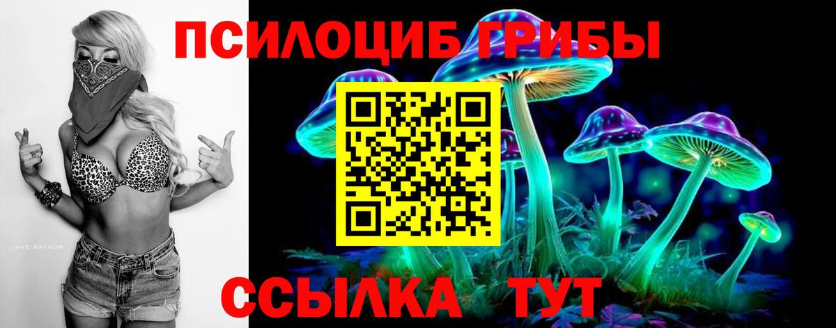 APVP Гатчина